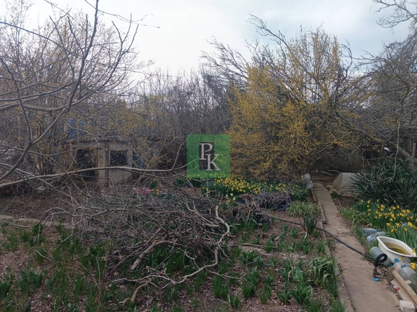 
  Продается земельный участок 20 соток. Фото 6.