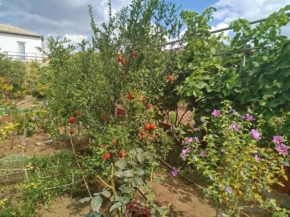 
  Продается коттедж 63 м². Фото 39.