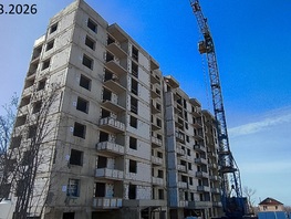 Продается 2-комнатная квартира ЖК Ботаника, 55.1  м&sup2;, 10303700 рублей