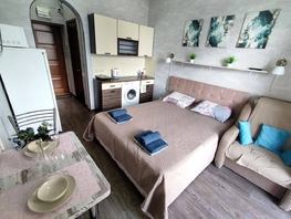 Продается 1-комнатная квартира Курортный пр-кт, 20.3  м², 11000000 рублей