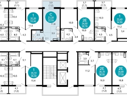 Продается 1-комнатная квартира ЖК Лестория, дом 2, 22.5  м², 13459500 рублей