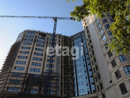 Сдается Офис ЖК Девелопмент-Плаза, 273.9  м², 356070 рублей