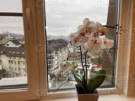 Продается Студия Целинная ул, 53.2 м², 15000000 рублей