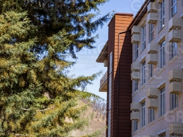 Продается Студия Пластунская ул, 18 м², 4200000 рублей