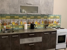 Продается 1-комнатная квартира Заводская ул, 44  м², 8199000 рублей