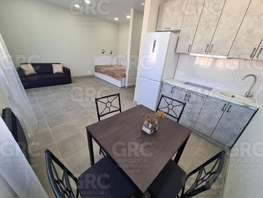 Продается 1-комнатная квартира Трунова пер, 33  м², 17000000 рублей