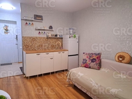 Продается 1-комнатная квартира Донская ул, 23.5  м², 4800000 рублей