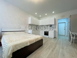 Продается Студия Адмирала Серебрякова ул, 27.5  м&sup2;, 4300000 рублей