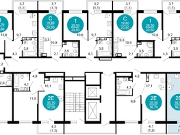 Продается 1-комнатная квартира ЖК Флора, 4 этап, 36.7  м&sup2;, 13169411 рублей