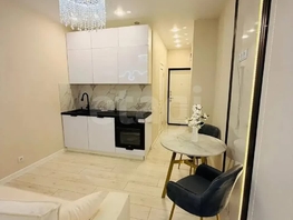 Продается Студия Тепличная ул, 19.4  м&sup2;, 4300000 рублей