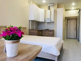 Продается 1-комнатная квартира Садовая ул, 28  м², 11025000 рублей