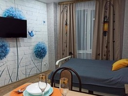 Продается 1-комнатная квартира Альпийская ул, 25  м², 6825000 рублей