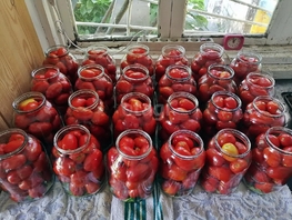 Продается Дачный участок 5 сот., 3000000 рублей