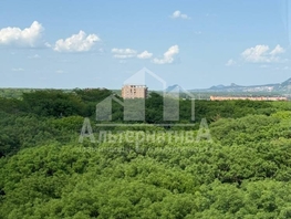 Продается 1-комнатная квартира Пушкина ул, 41  м², 8000000 рублей
