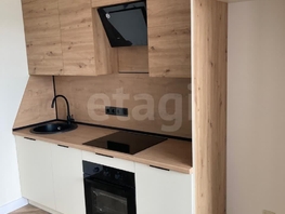 Продается 1-комнатная квартира 50 лет ВЛКСМ ул, 39  м², 5500000 рублей