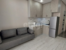 Продается Студия Александра Грибоедова ул, 19.4  м², 2400000 рублей