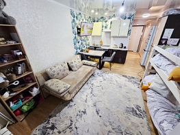 Продается Студия Заводская ул, 27  м², 3700000 рублей